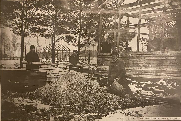 Строительство дач ДПК Сосны