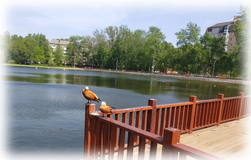 Городское озеро